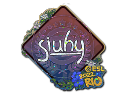 siuhy (Glitter) CS2 Sticker