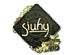siuhy (Gold) CS2 Sticker