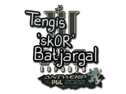 sk0R CS2 Sticker