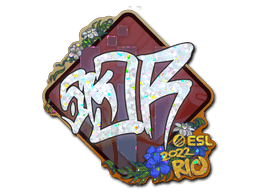 sk0R (Glitter) CS2 Sticker