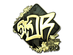 sk0R (Gold) CS2 Sticker