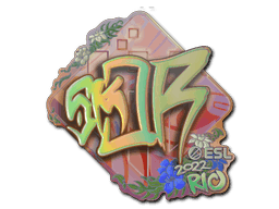 sk0R (Holo) CS2 Sticker