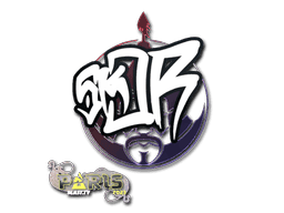 sk0R CS2 Sticker
