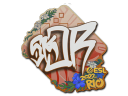 sk0R CS2 Sticker