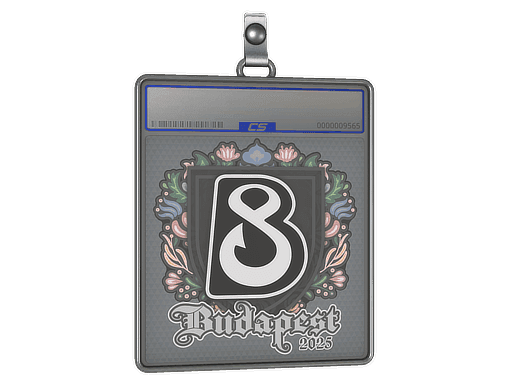 B8 CS2 Sticker