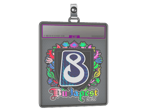 B8 (Holo) CS2 Sticker