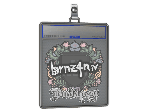brnz4n CS2 Sticker