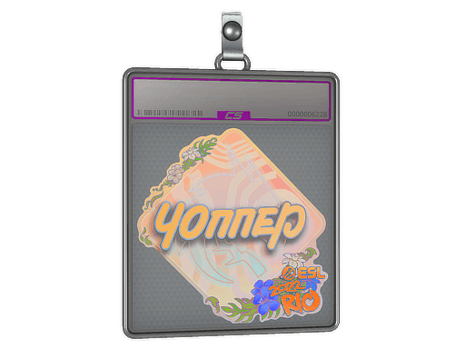 chopper (Holo) CS2 Sticker
