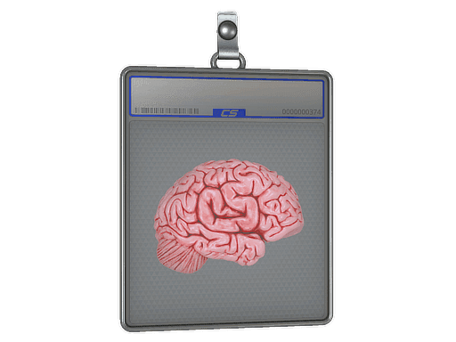 CS On The Mind CS2 Sticker