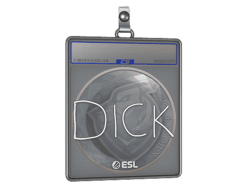 DickStacy CS2 Sticker