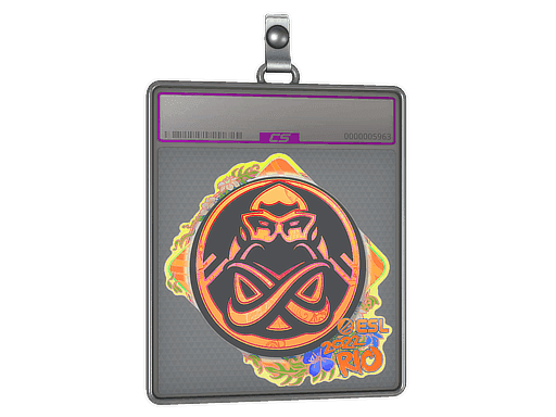 ENCE (Holo) CS2 Sticker