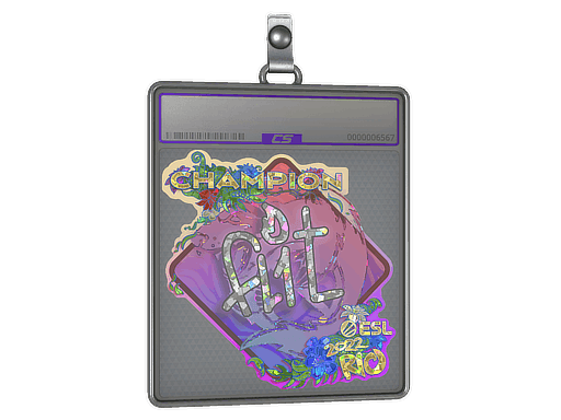 FL1T (Glitter, Champion) CS2 Sticker