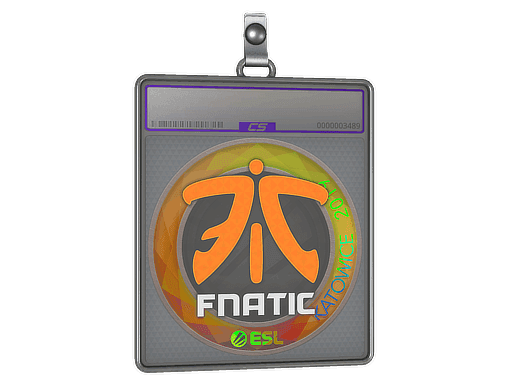 Fnatic (Holo) CS2 Sticker