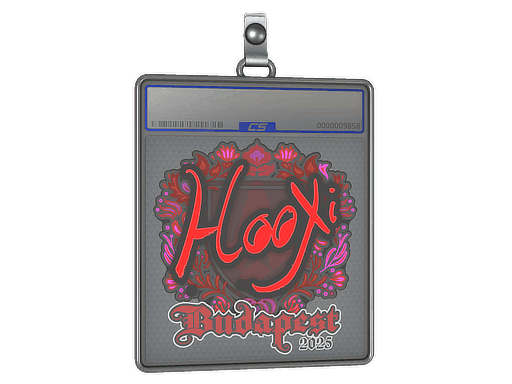 HooXi CS2 Sticker