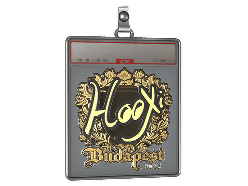 HooXi (Gold) CS2 Sticker