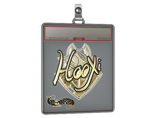 HooXi (Gold) CS2 Sticker