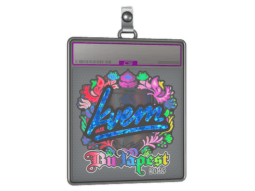 Kvem (Holo) CS2 Sticker