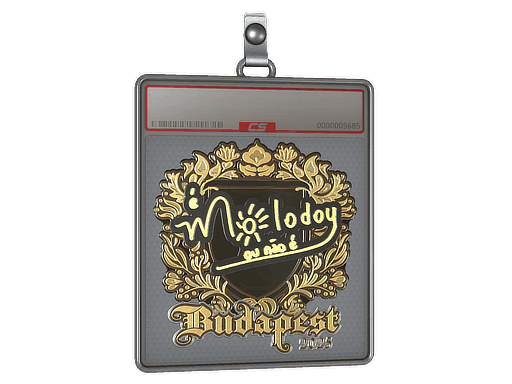 molodoy (Gold) CS2 Sticker