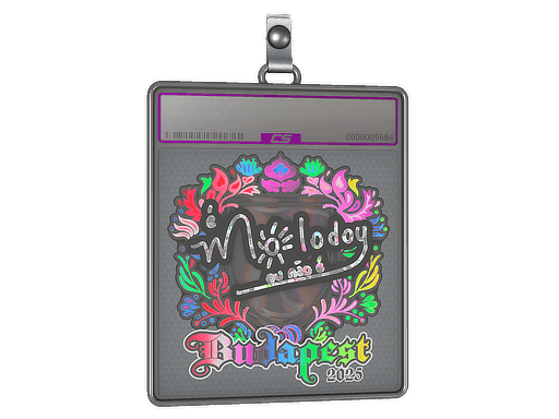 molodoy (Holo) CS2 Sticker