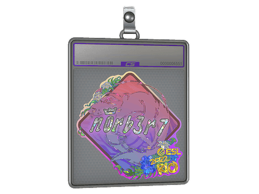 n0rb3r7 (Glitter) CS2 Sticker