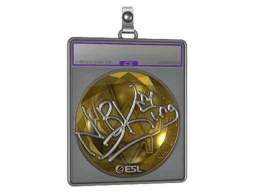 NBK- (Foil) CS2 Sticker