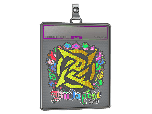 Ninjas in Pyjamas (Holo) CS2 Sticker