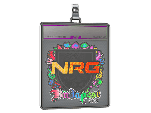 NRG (Holo) CS2 Sticker