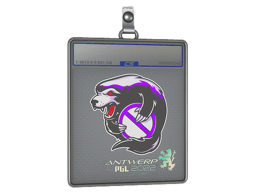Outsiders CS2 Sticker