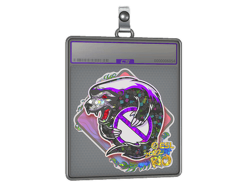 Outsiders (Glitter) CS2 Sticker