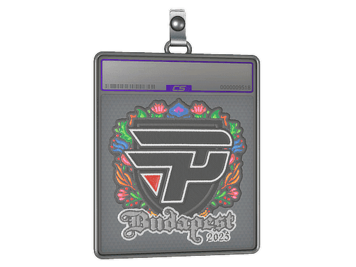 paiN Gaming (Embroidered) CS2 Sticker