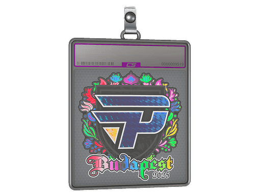 paiN Gaming (Holo) CS2 Sticker
