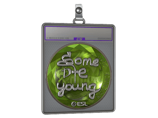 sdy (Foil) CS2 Sticker