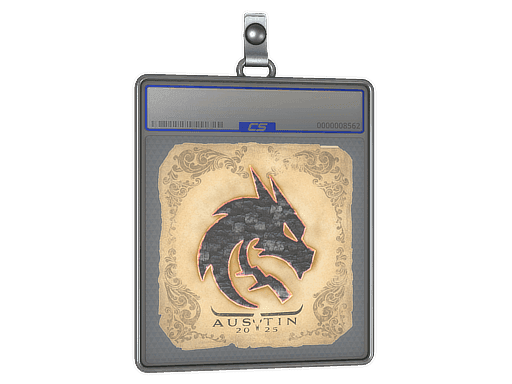 Team Spirit CS2 Sticker