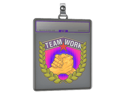 Teamwork (Holo) CS2 Sticker