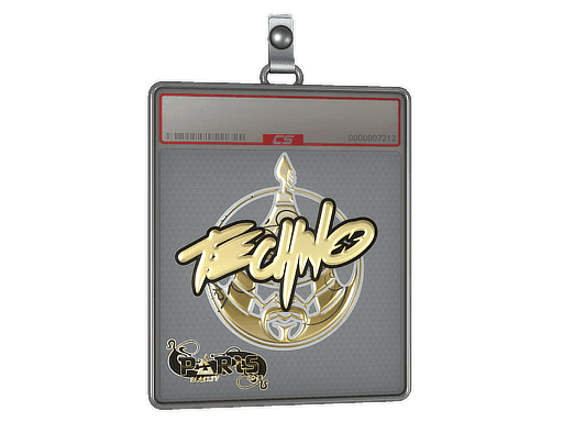 Techno4K (Gold) CS2 Sticker