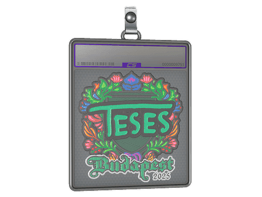 TeSeS (Embroidered) CS2 Sticker