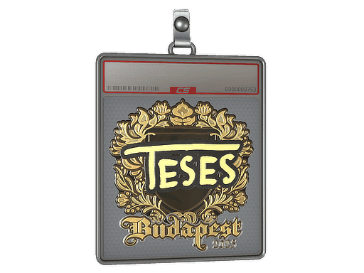 TeSeS (Gold) CS2 Sticker