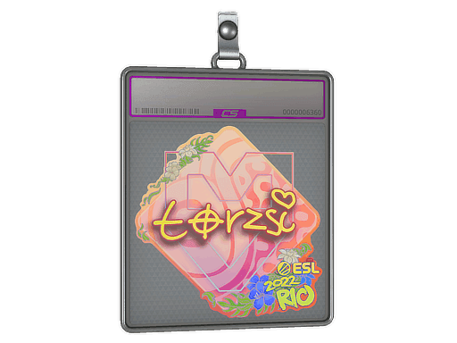 torzsi (Holo) CS2 Sticker