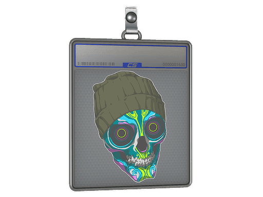 Viggo CS2 Sticker