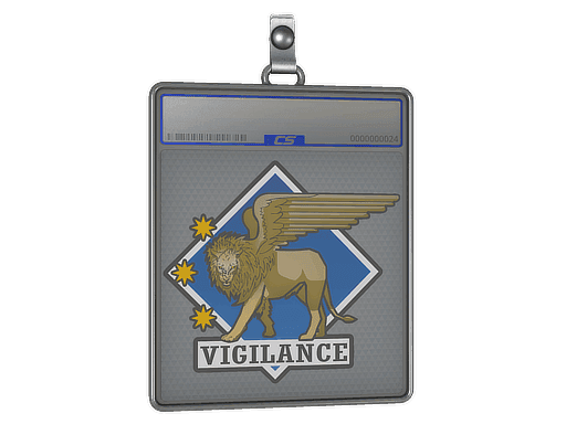 Vigilance CS2 Sticker