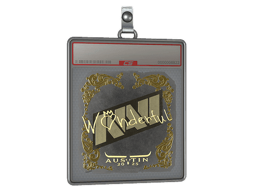 w0nderful (Gold) CS2 Sticker