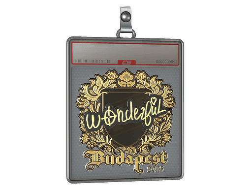 w0nderful (Gold) CS2 Sticker