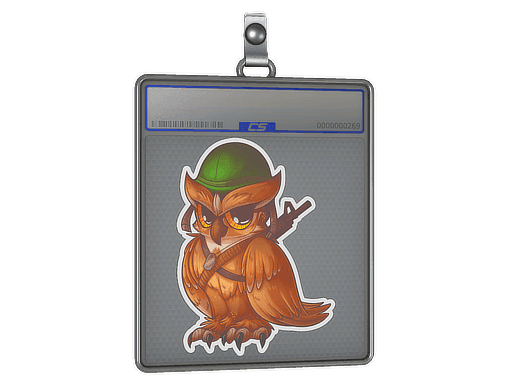 Warowl CS2 Sticker