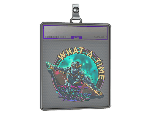 Wingsuit (Holo) CS2 Sticker
