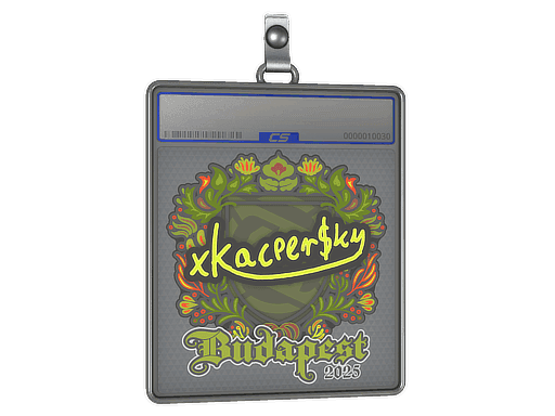 xKacpersky CS2 Sticker