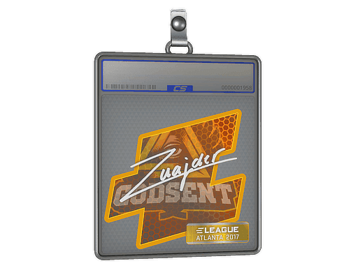 znajder CS2 Sticker