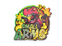 Small Arms (Holo) CS2 Sticker