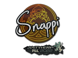 Snappi CS2 Sticker