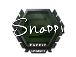 Snappi CS2 Sticker