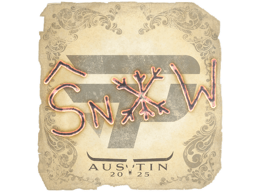 snow CS2 Sticker